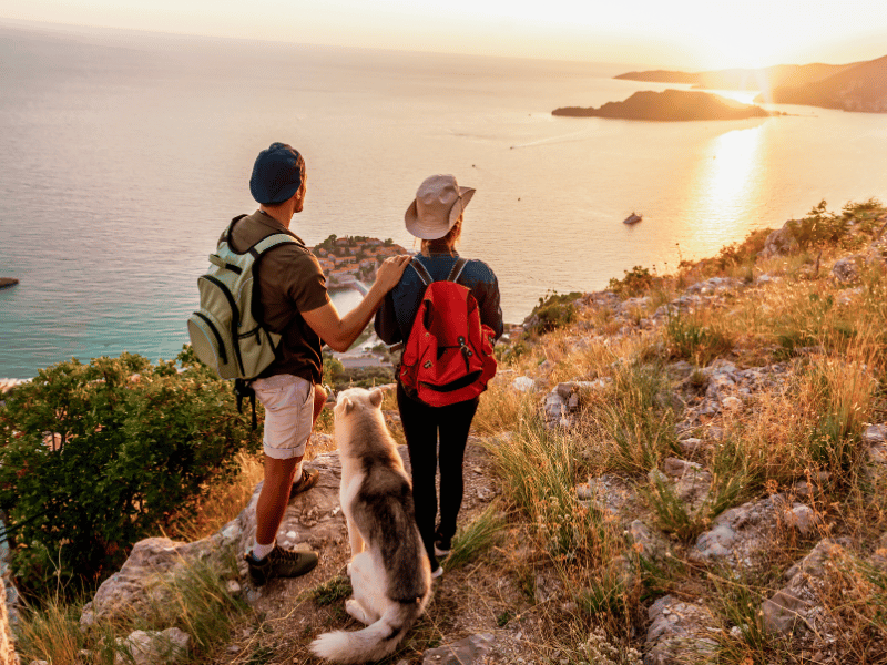 Wandern mit Hund