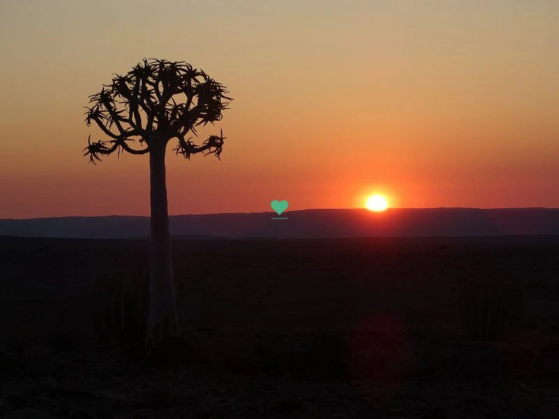 Blog - Namibia Reise mit Kalahari Sonnenuntergang