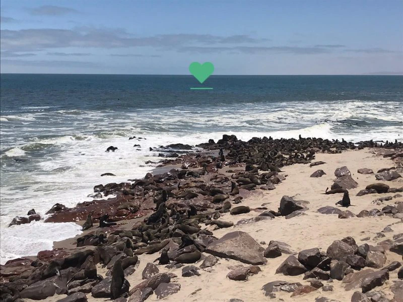 Robbenkolonie an der Skelettküste in Swakopmund bei Cape Cross in Namibia