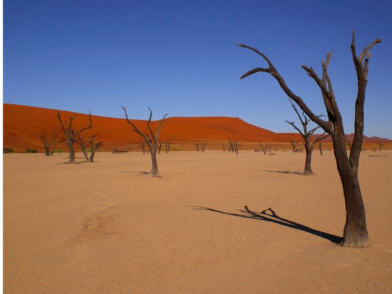 Namibia Sossousvlei