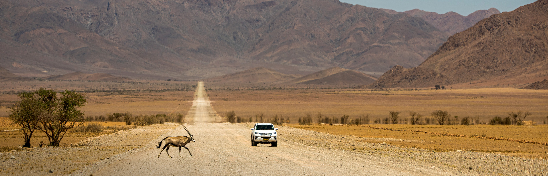namibia mietwagen antilope namibia mietwagen antilope