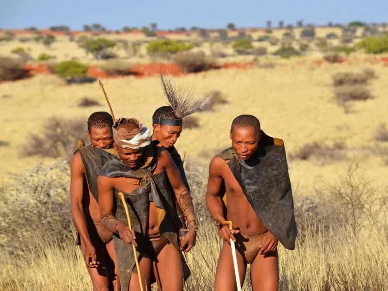 Wanderung mit den San durch die Buschlandschaft Namibias