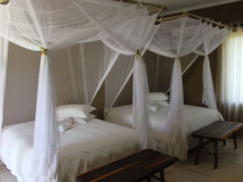 Etosha Lodge Namibia