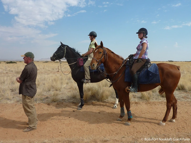 Namibia Sossusvlei Ausritt Pferde Büllsport