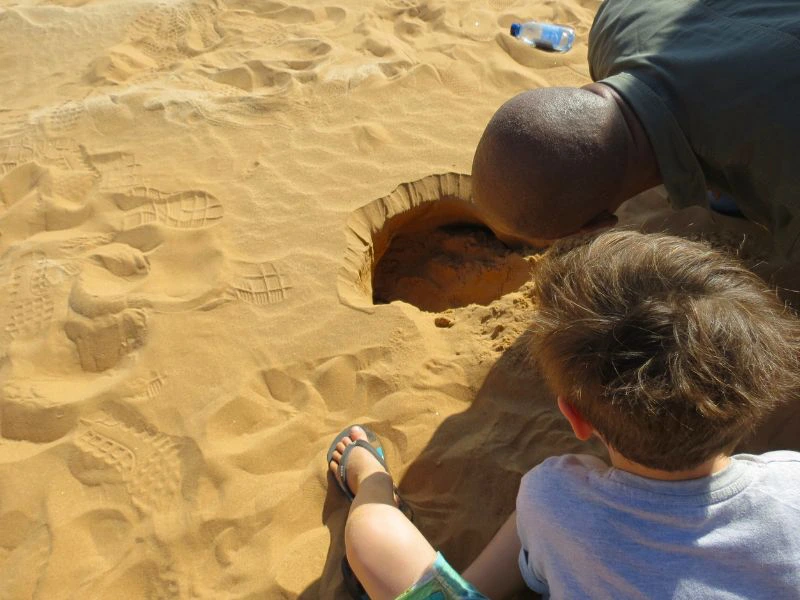 Familie auf den Dünen von Sossusvlei Namibia
