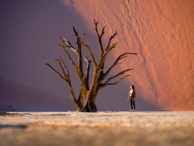 Deadvlei Sossusvlei Namibia