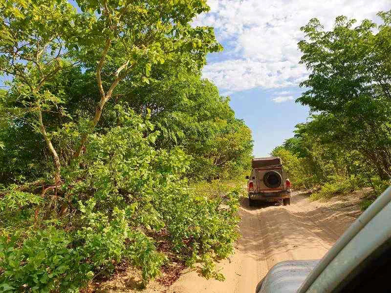 Sandpisten auf dem Weg zum Chobe Nationalpark in Botswana