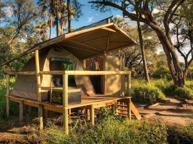 Camp im Okavango Delta Botswana