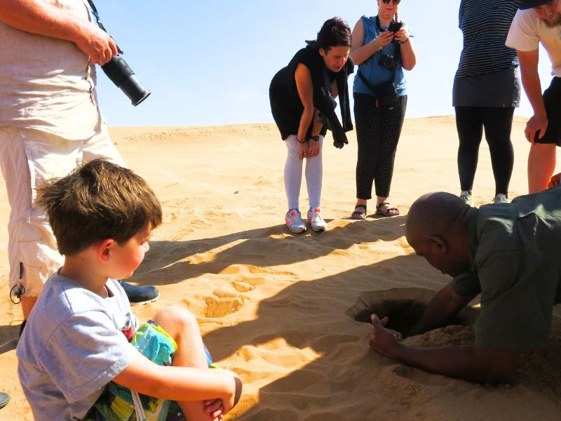 Wüstentour in der Namib Wüste