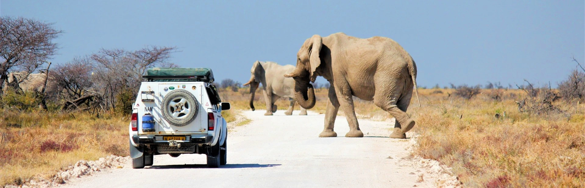 Elefanten begegnen in Namibia