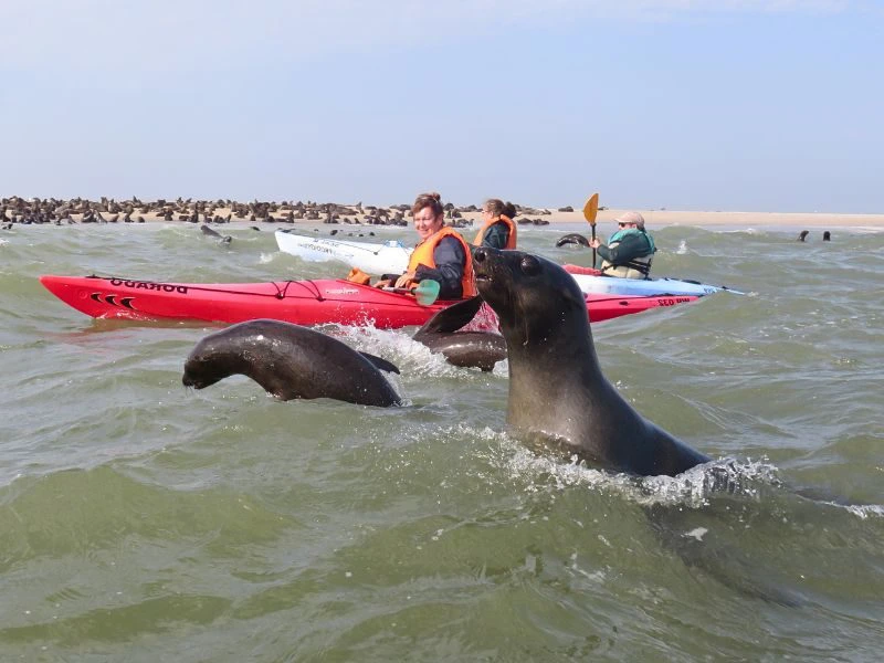 Kajaktour vor der Küste von Swakopmund