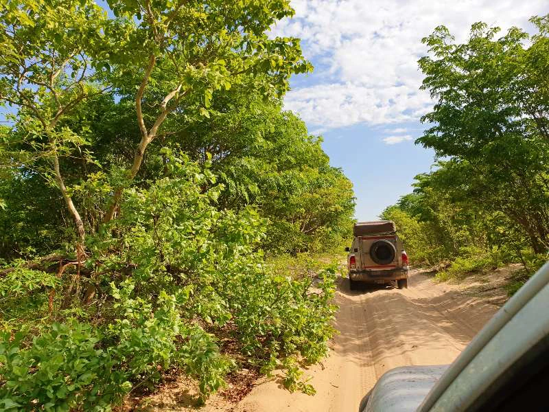 Botswana - Chobe - rijden