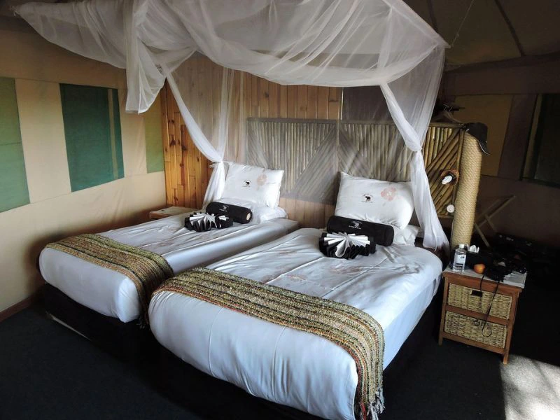 Chobe Guesthouse Botswana