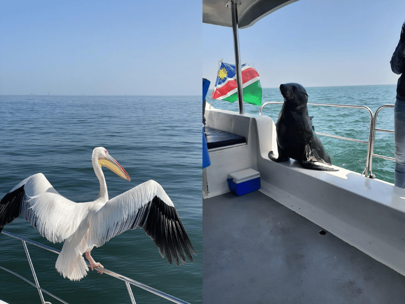 Namibia_Katamarantour in Swakopmund