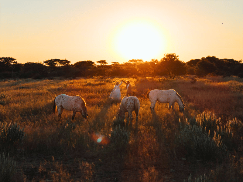 Hochzeitspaar im Sonnenuntergang in Namibia