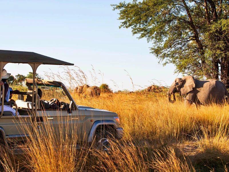 Elefant während einer Jeepsafari in Namibia