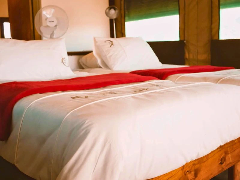 Camping Solitaire Namibia