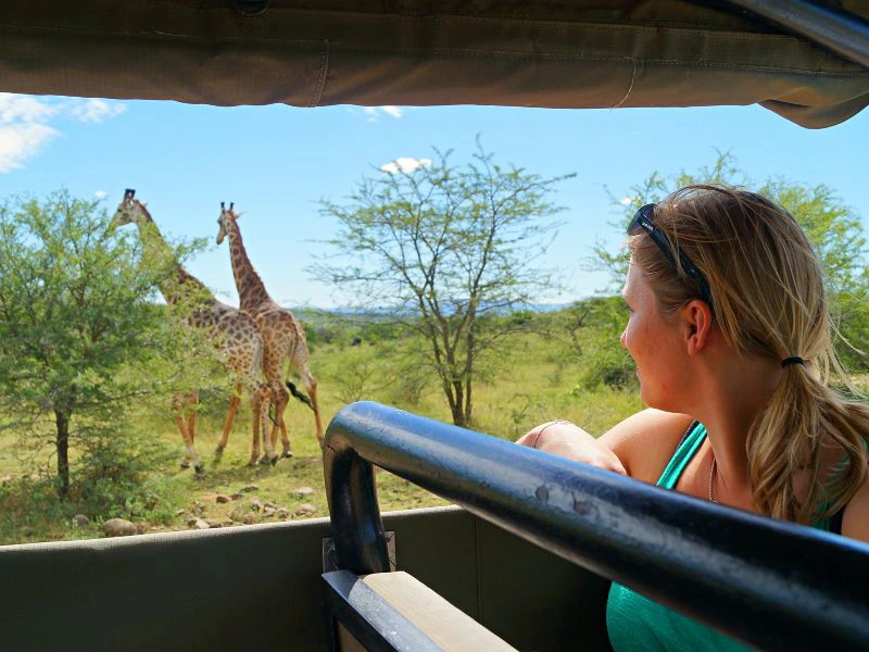 Safari in Südafrika