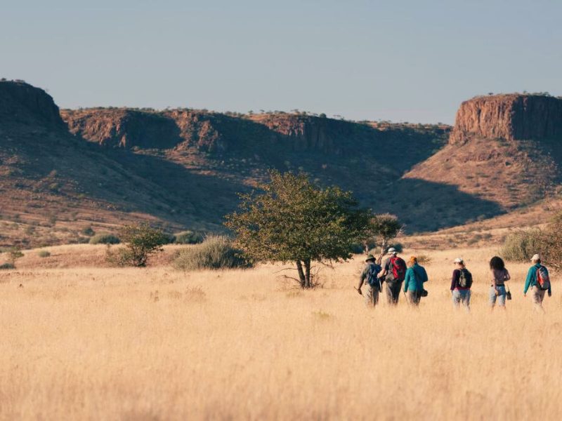 Wandern in der Etendeka Region in Namibia