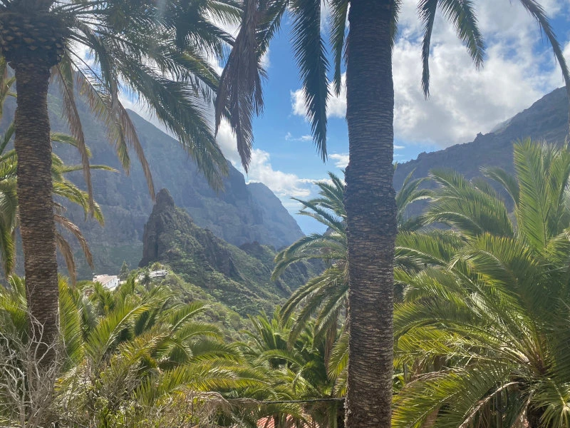 Blick in die Masca Schlucht auf Teneriffa, Spanien