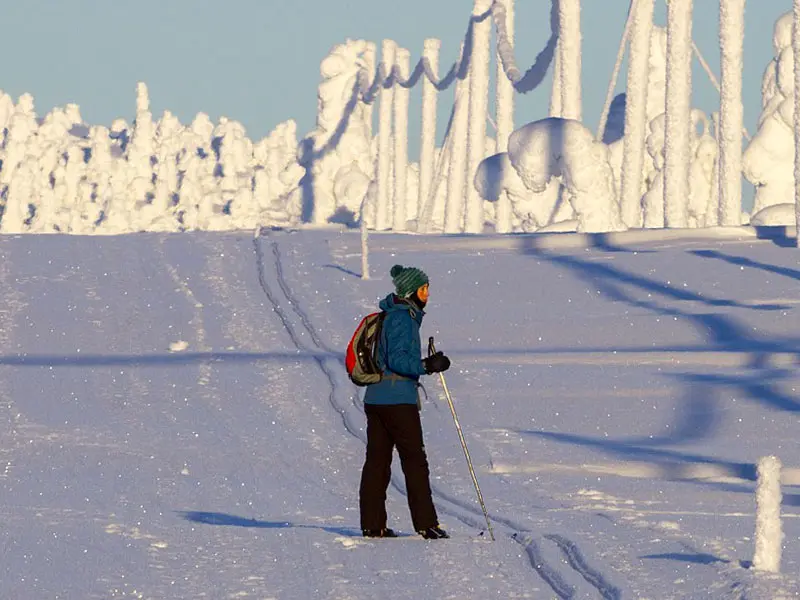 Lappland Individuell