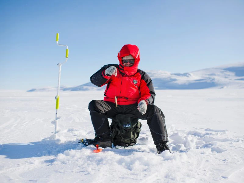 Fisch gefangen beim Eisfischen in Lappland