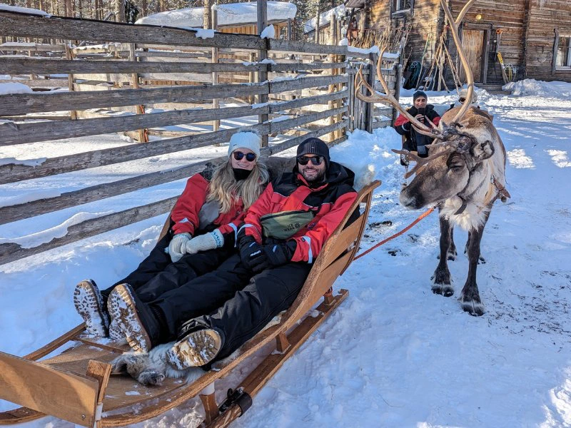 Rentiersafari bei Rovaniemi, Lappland