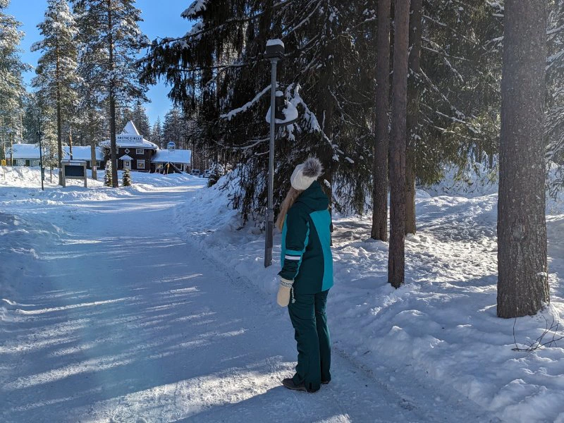 Viel Schnee erleben in Lappland