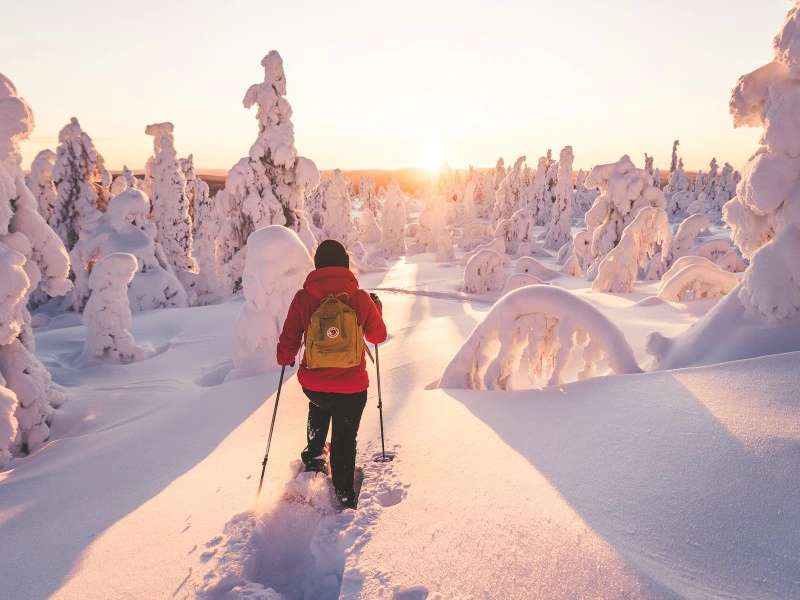 Schneeschuhwandern bei Ylläs