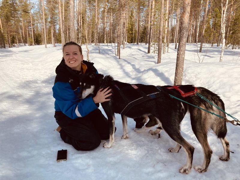 Reisende mit Hundeschlitten in Ukkohalla, Lappland