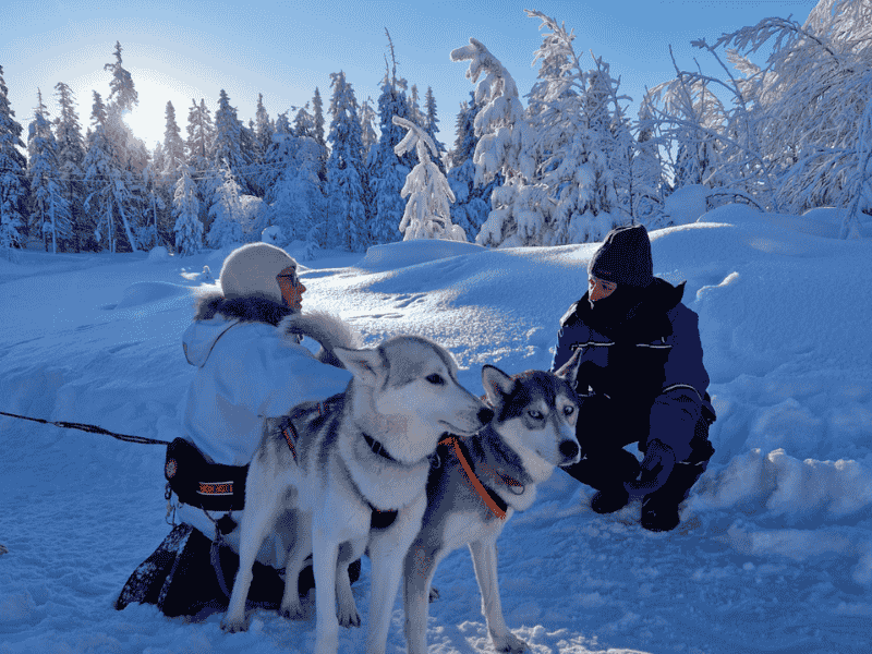 Husky-Safari in Ukkohalla, Lappland