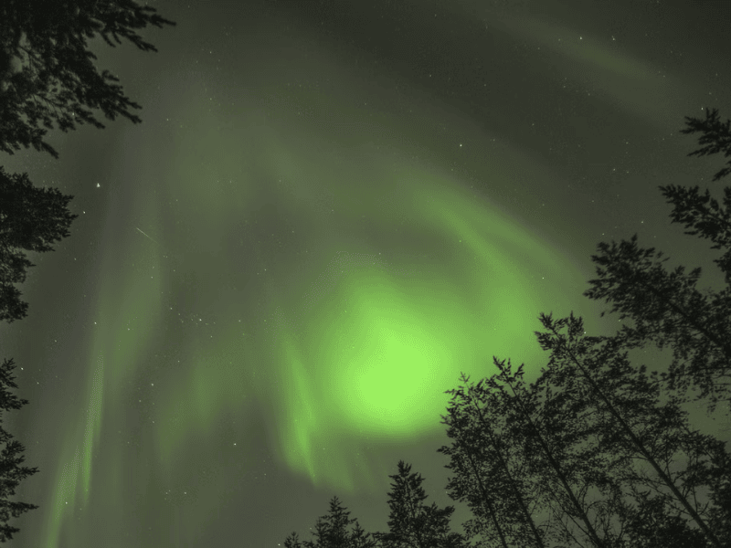 Nordlichter in Vuokatti, Lappland