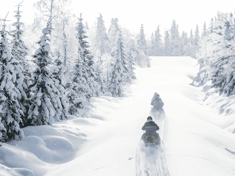 Schneemobiltour in Vuokatti, Lappland