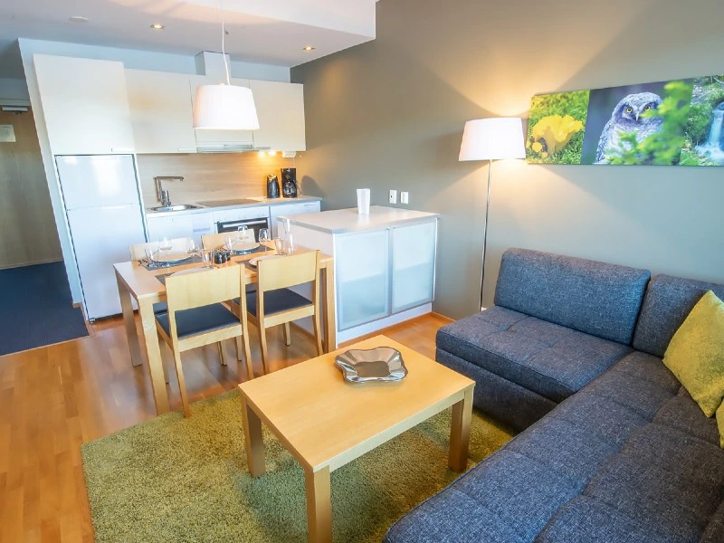 Küche und Wohnraum im Apartment
