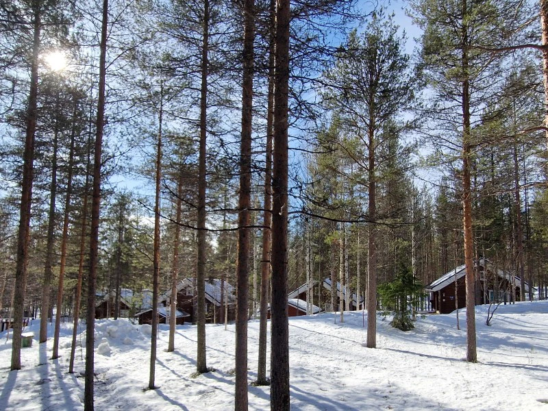 Schneelandschaft