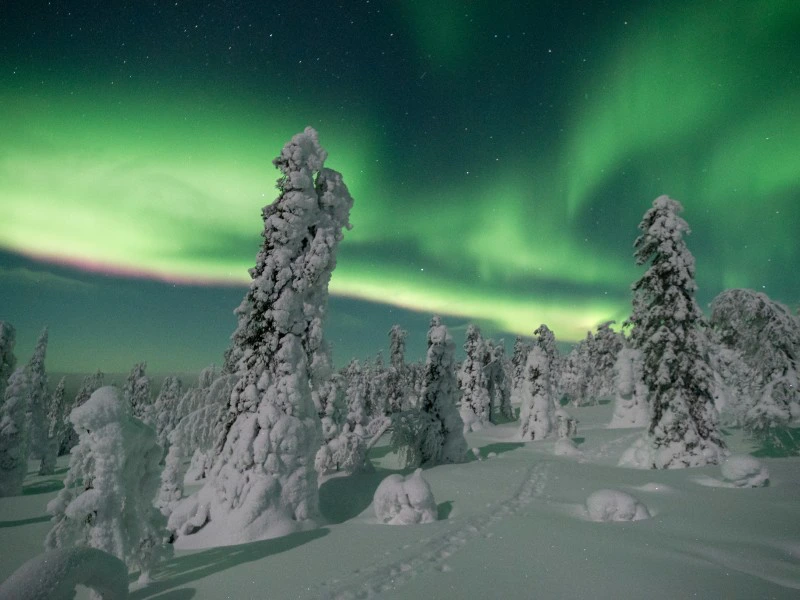 Nordlichter über Schneelandschaft