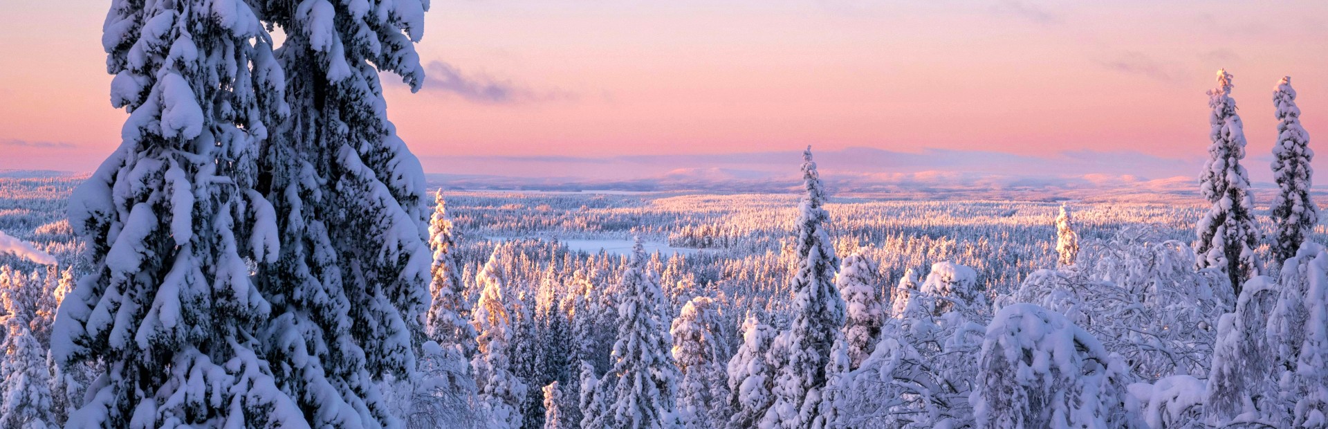 Blick von oben auf die Schneelandschaft
