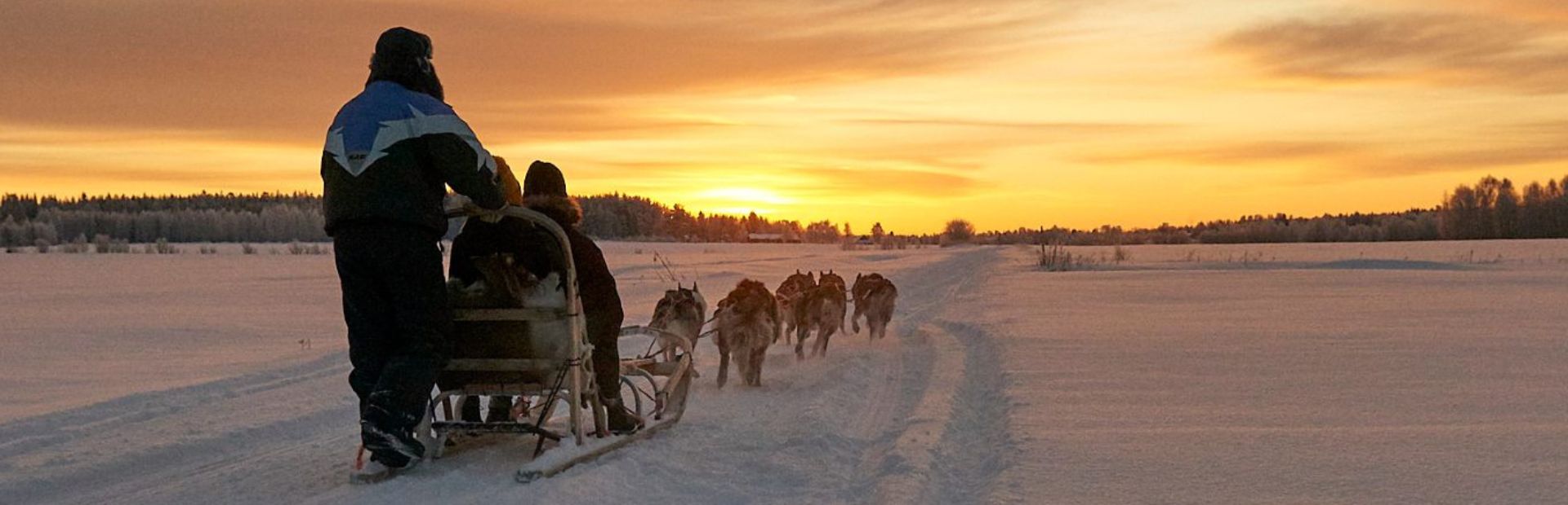 Husky-Tour durch Lappland