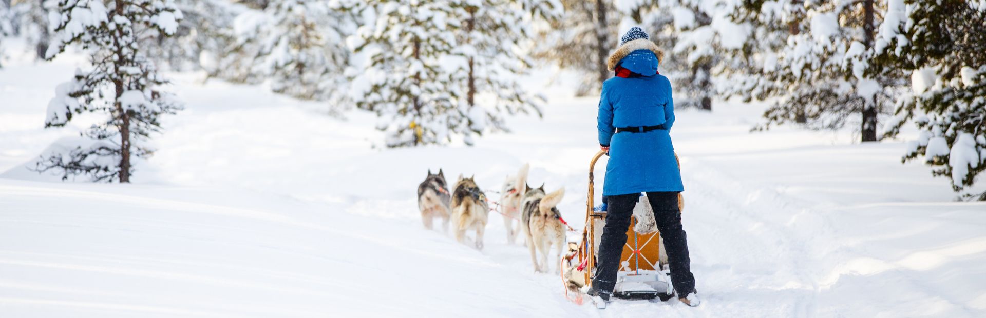 Huskyschlittentour in Finnisch Lappland
