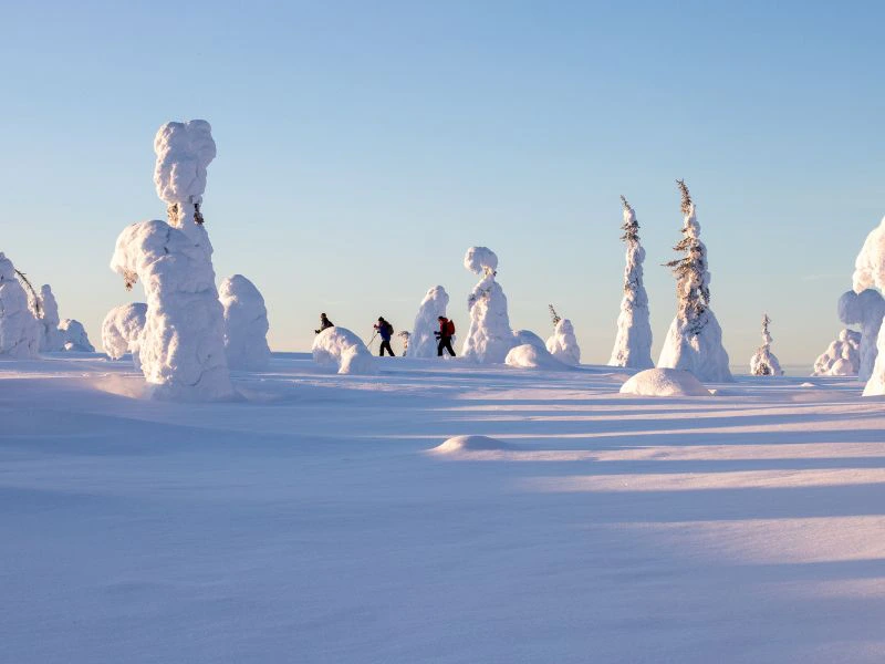 Schneewandern durch die Winterlandschaft