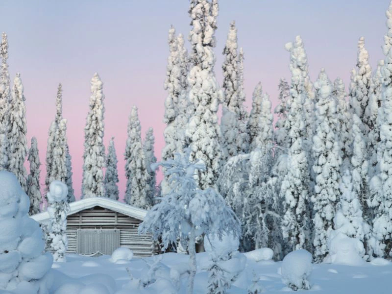 Winterliche Landschaft bei Ruka mit Hütte