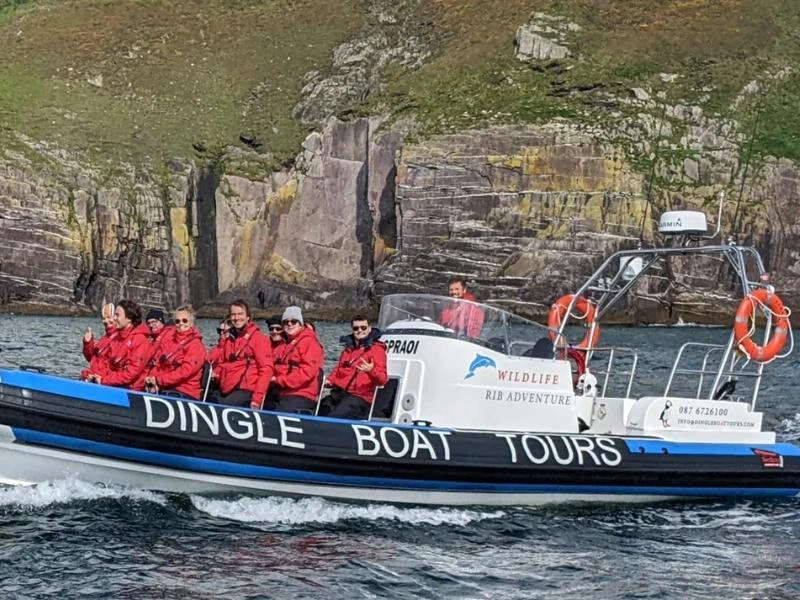 Tiere beobachten vom Boot aus