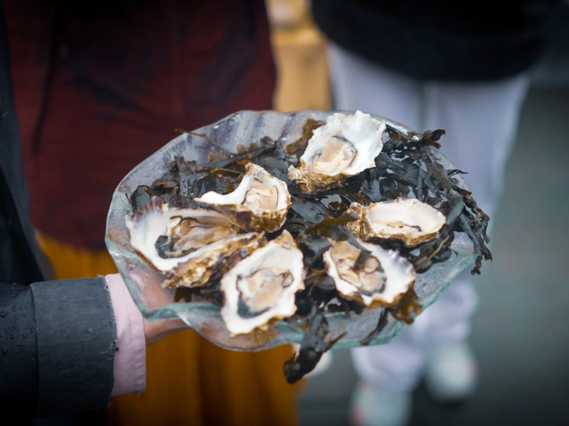 Teller mit Austern