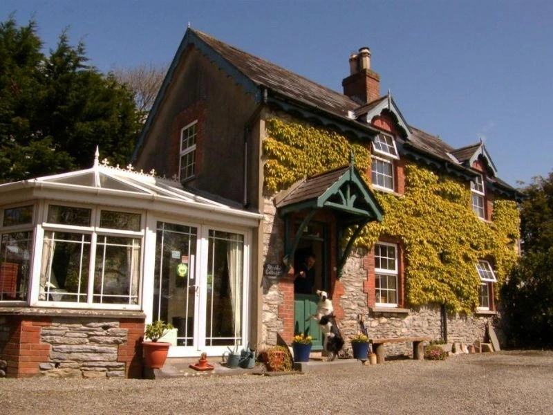 Bed & Breakfast von außen in Kerry bewachsendes Gebäude