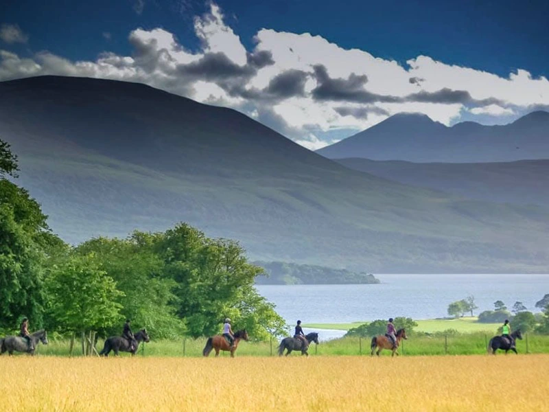 Ausflug mit dem Pferd in einer Gruppe