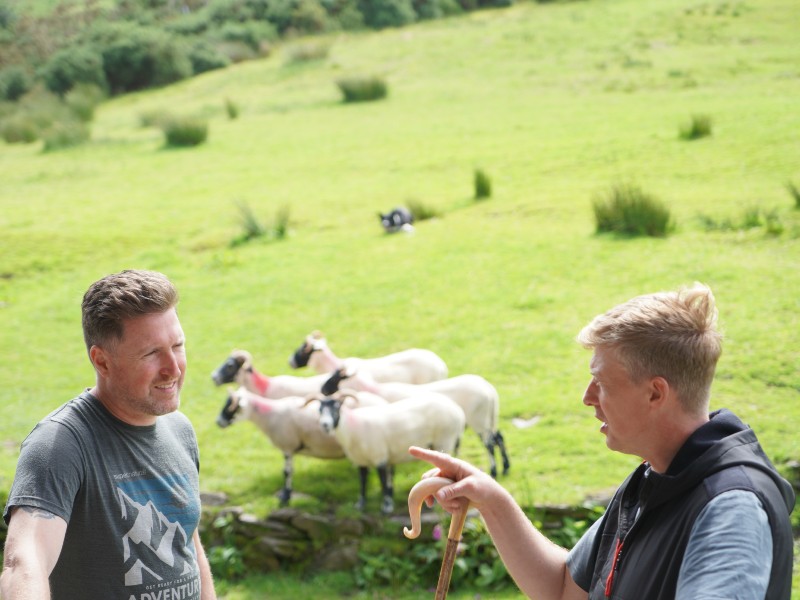 Am Ring of Kerry: Reisender im Gespräch mit Hirten. Schafe im Hintergrund