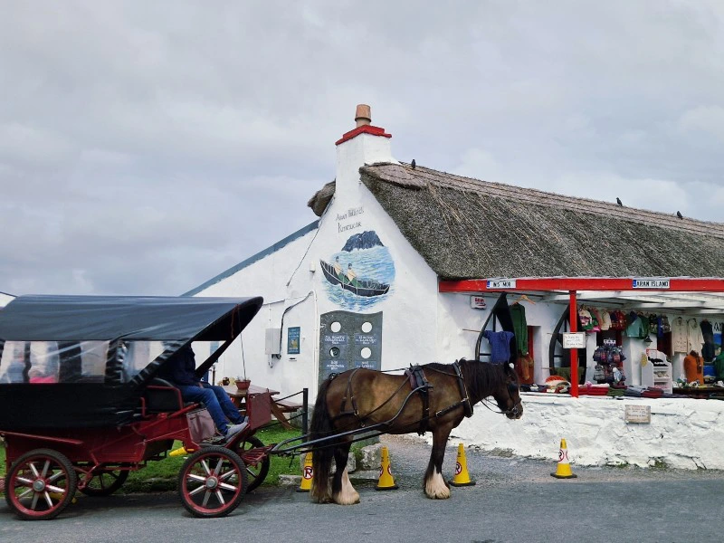 Pferdekutsche vor einem kleinen Geschäft