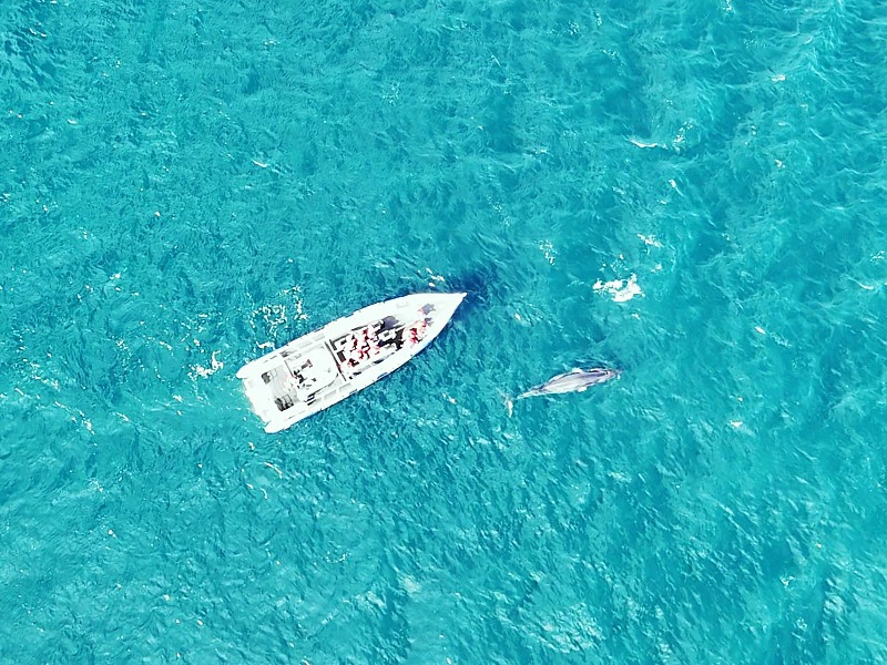 Schnellboot von oben