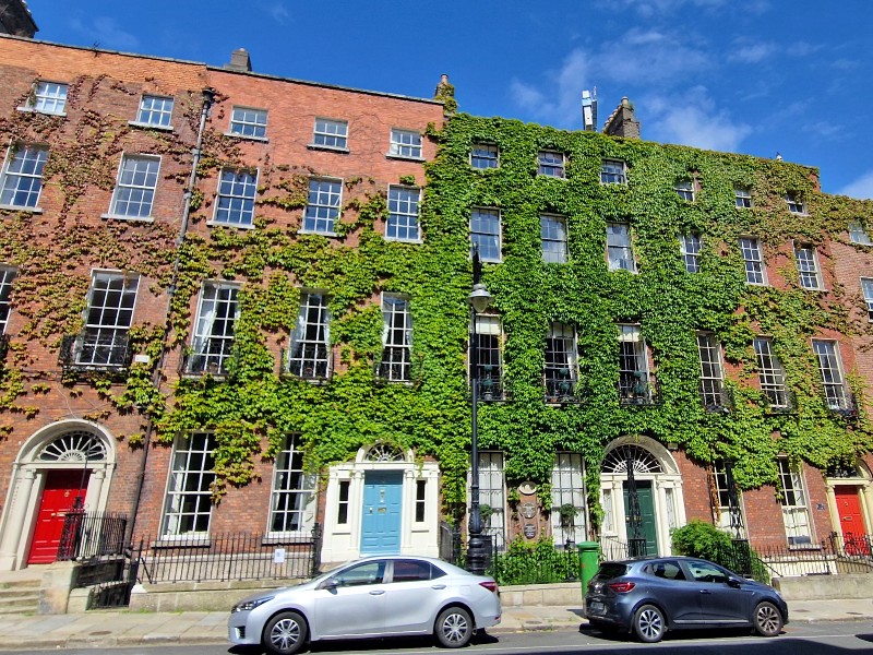 Mit Pflanzen bewachsendes Haus in Dublin in Irland
