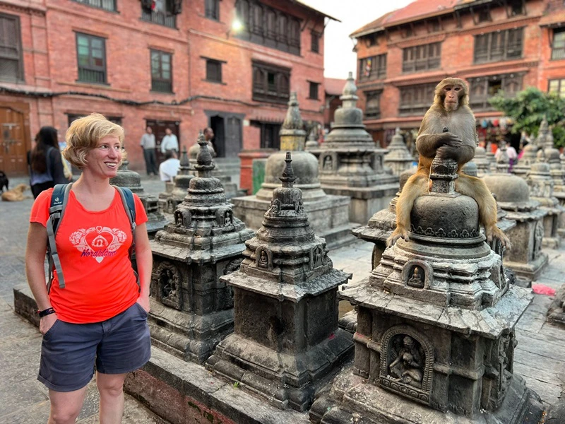 Nepal Urlaub in Kathmandu - Affe